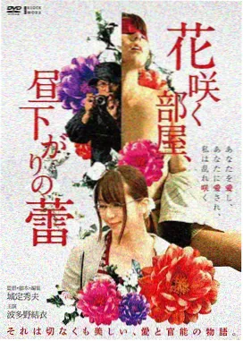 二龙湖浩哥之四平青年 电影海报